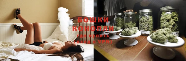 PSILOCYBIN Белоозёрский