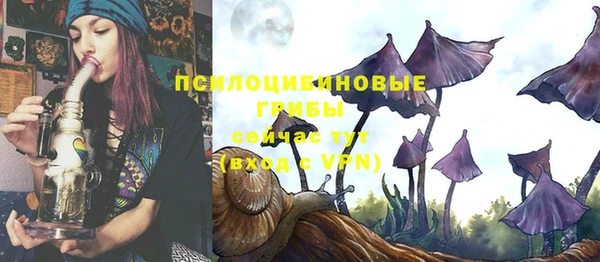 PSILOCYBIN Белоозёрский