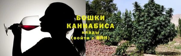 PSILOCYBIN Белоозёрский