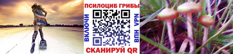гидра ССЫЛКА  Симферополь  Псилоцибиновые грибы Psilocybe 